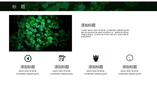 绿色叶子一叶一菩提通用PPT模板