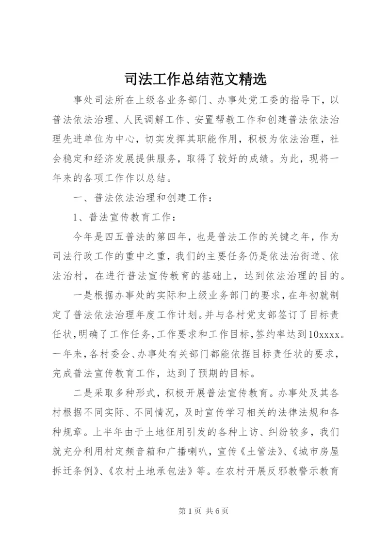 司法工作总结范文精选.docx