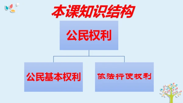 八年级下册第三课公民权利  复习课件(共27张PPT)