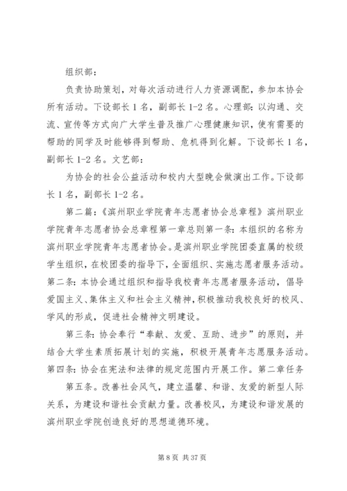 滨州职业学院青年志愿者协会XX年度发展规划报告.docx