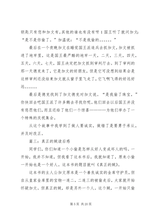 真正的贼读后感.docx