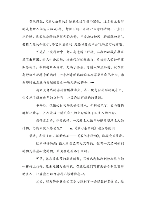 第七条猎狗读后感范文