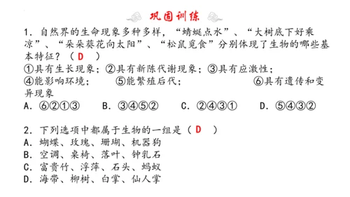 1.1 认识生物 2023-2024学年七年级生物上学期期末考点大串讲（人教版）(共19张PPT)