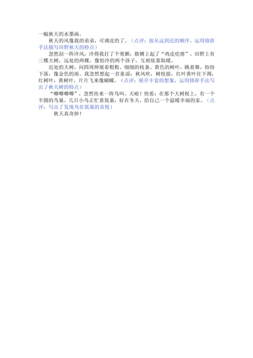 统编版2024-2025学年语文三年级上册第五单元习作 我们眼中的缤纷世界（讲义）