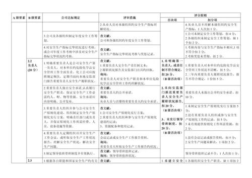 江苏省小微型危险化学品企业安全生产重点标准化评审重点标准.docx