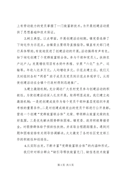 某镇农村党群致富联合体情况汇报.docx