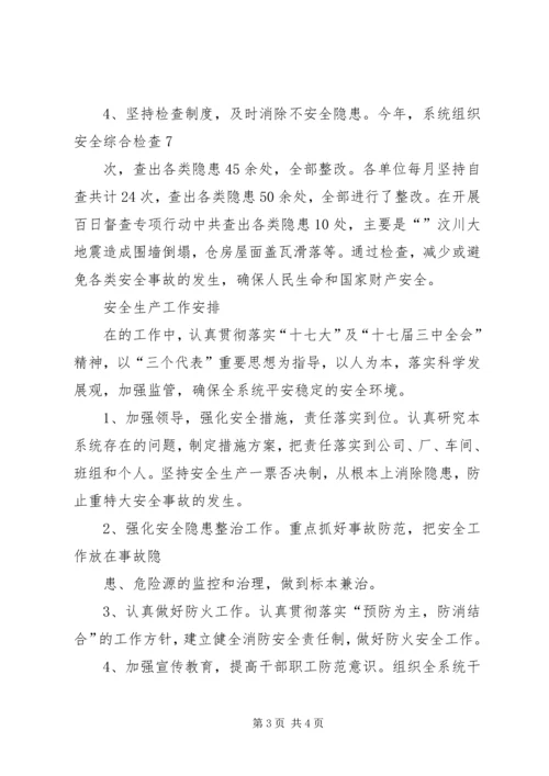 粮食局安全生产总结及工作计划 (3).docx