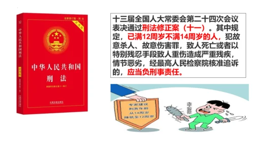 【新课标】9.1 生活需要法律课件【2024春新教材】（28张ppt）