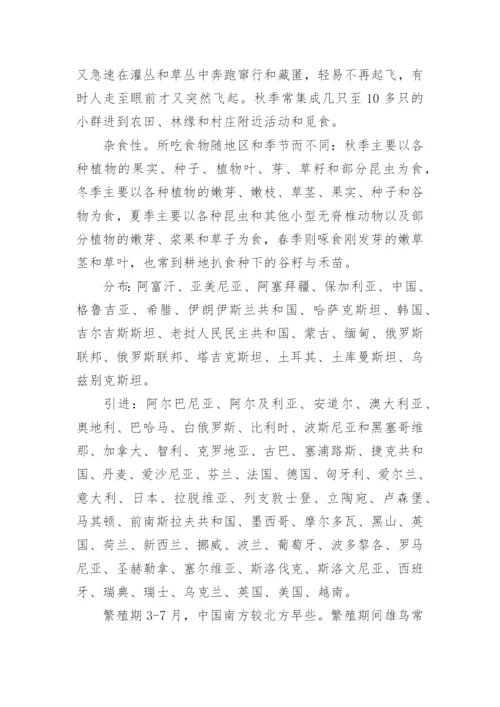 跑山鸡怎么养.docx