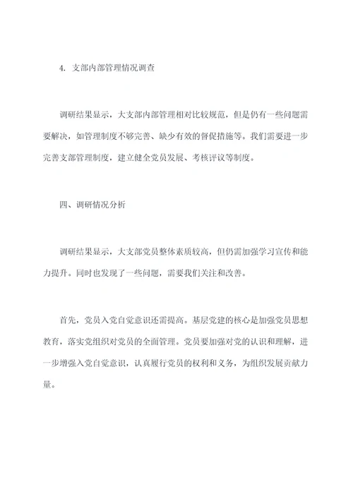大支部调研报告