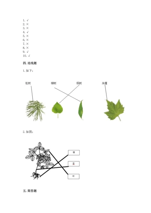 教科版一年级上册科学期末测试卷附参考答案（轻巧夺冠）.docx