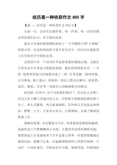 经历是一种收获作文800字.docx