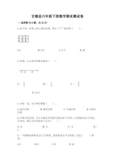 甘德县六年级下册数学期末测试卷（名校卷）.docx