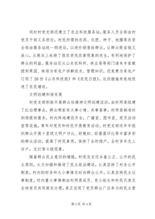 村党支部典型材料 (2).docx