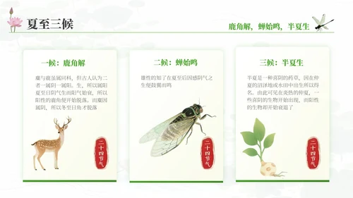夏至的传统与现代融合