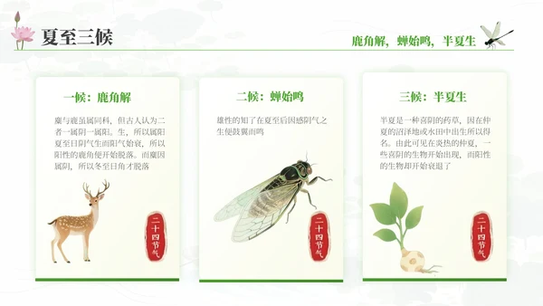 夏至的传统与现代融合