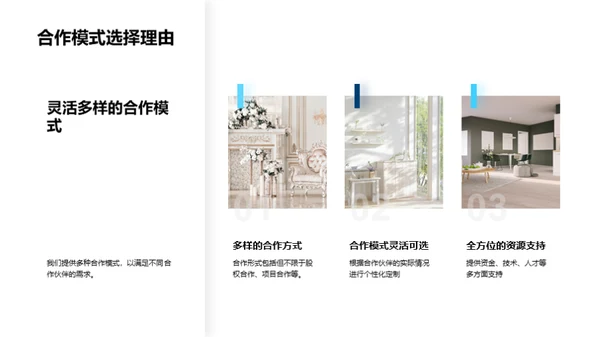 房产合作 策略共赢