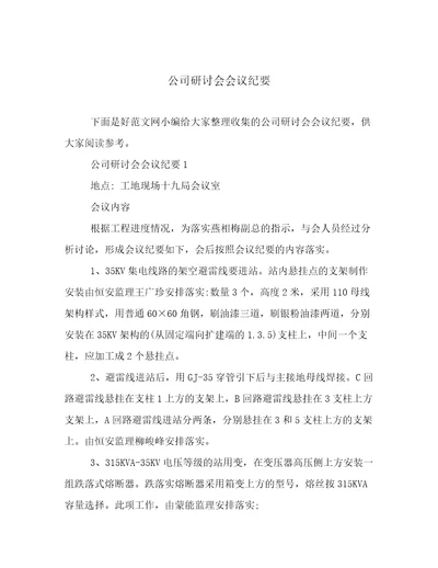 公司研讨会会议纪要