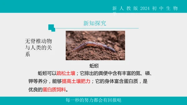 人教版生物七年级上册2.2.1《无脊椎动物》教学课件(共40张PPT)+视频素材