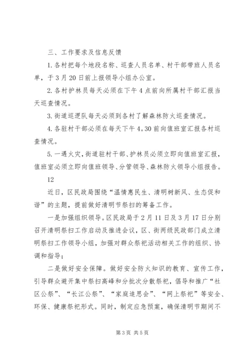 清明节期间森林防火工作计划.docx