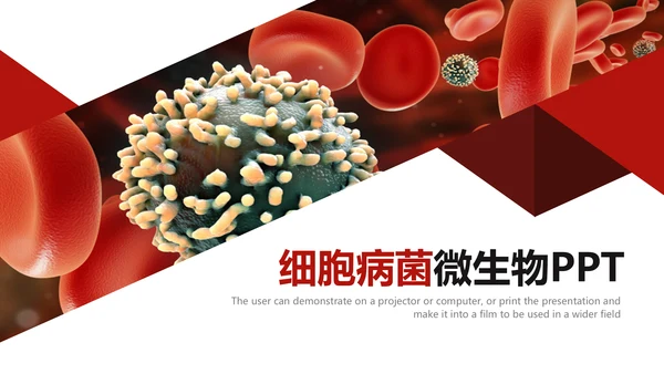 医疗细菌病毒微生物细胞组织动态ppt模板
