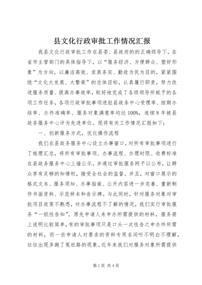 县文化行政审批工作情况汇报.docx