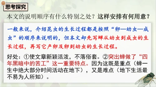 21《蝉》课件