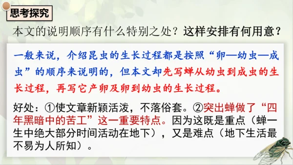 21《蝉》课件