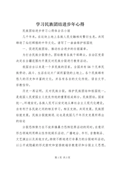 学习民族团结进步年心得 (2).docx