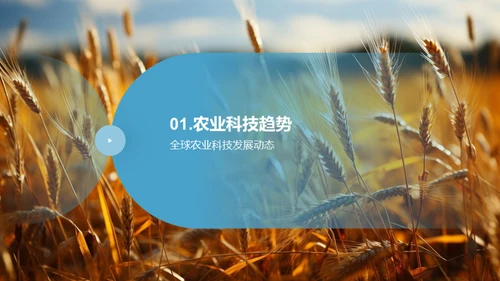 农业科技的发展之路
