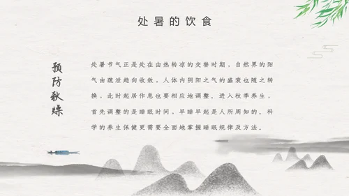 处暑二十四节气夏雨荷中国风通用PPT模板