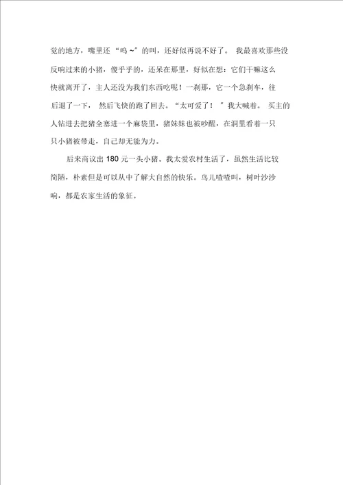 农家风光作文精选