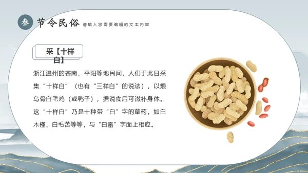 白露节气宣传白鹤通用PPT模板