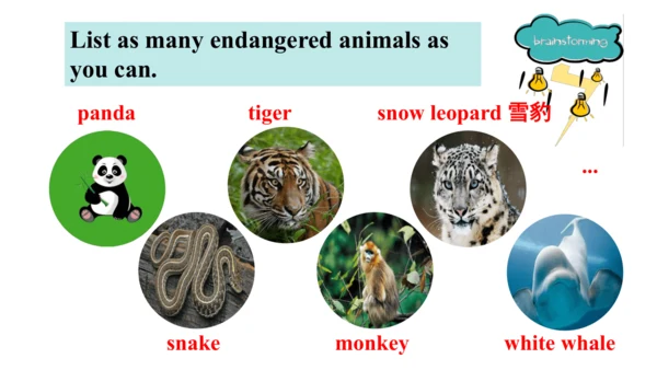 Module 6 Unit 2 The WWF is working hard to save th