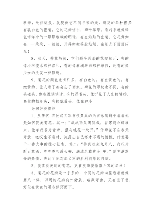 描写菊花的好词好句摘抄.docx