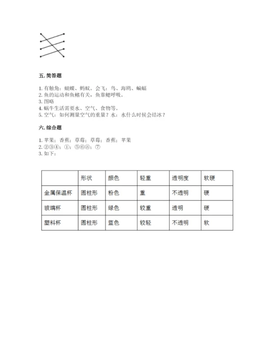 教科版一年级下册科学期末测试卷加精品答案.docx