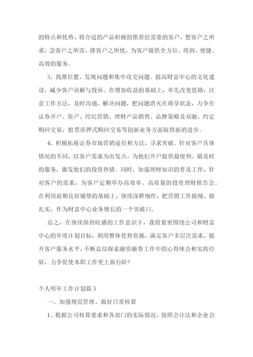 个人明年工作计划.docx
