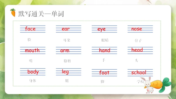 Unit 3 Look at me（复习课件）-2023-2024学年三年级英语上册期末核心考点集训