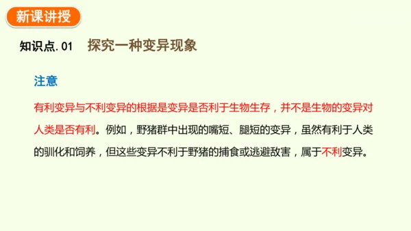 7.2.5生物的变异-八年级生物人教版下学期同步精品课件(共34张PPT)