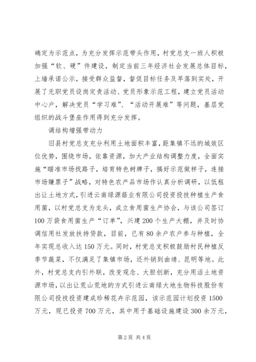 记旧县镇旧县村党总支.docx