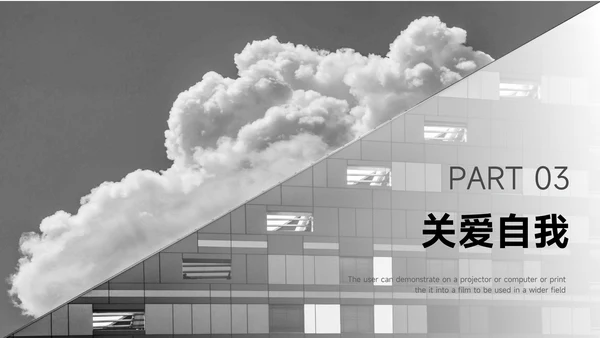 黑色简约图文高级工作总结PPT模板