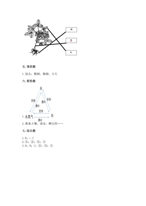 教科版科学一年级上册第一单元《植物》测试卷（综合题）word版.docx