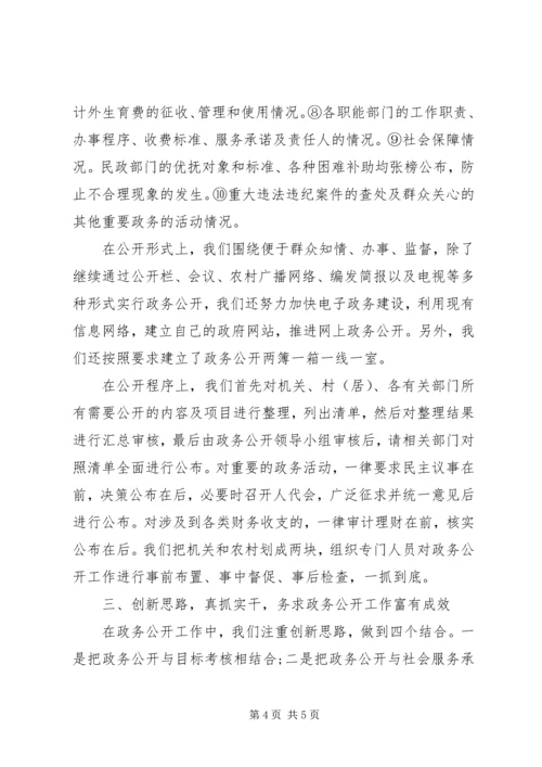 乡镇政务公开工作总结范文.docx
