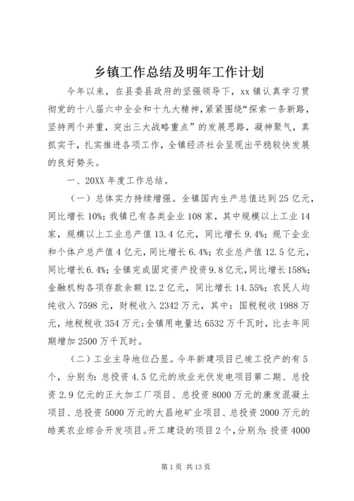 乡镇工作总结及明年工作计划.docx