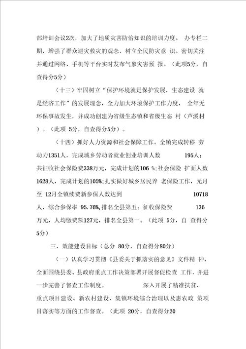 乡镇综合目标管理责任制执行情况自查报告