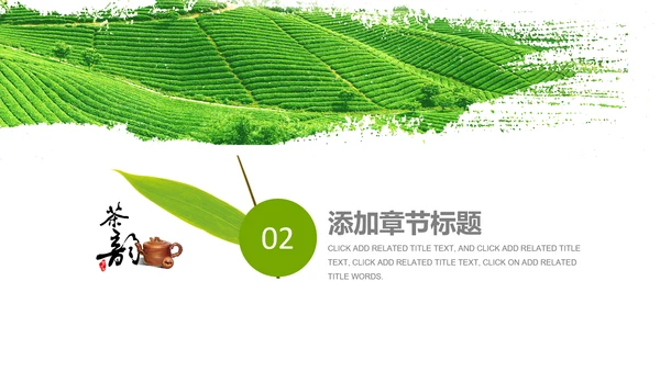 茶具茶叶绿茶白茶红茶黑茶茶文化茶厂PPT