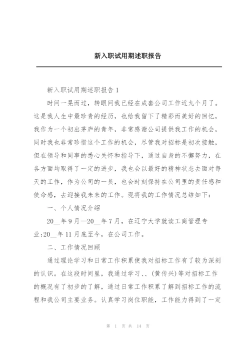 新入职试用期述职报告.docx