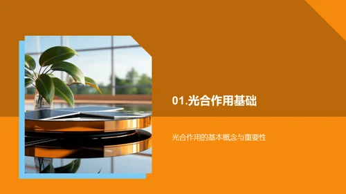 绿色能源之源