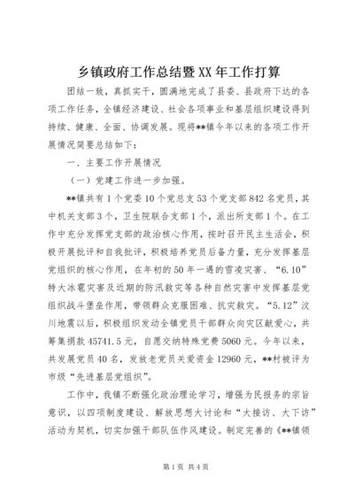 乡镇政府工作总结暨某年工作打算.docx