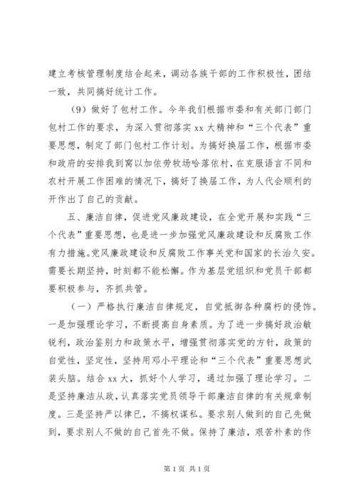 市统计局副局长XX年个人工作总结.docx